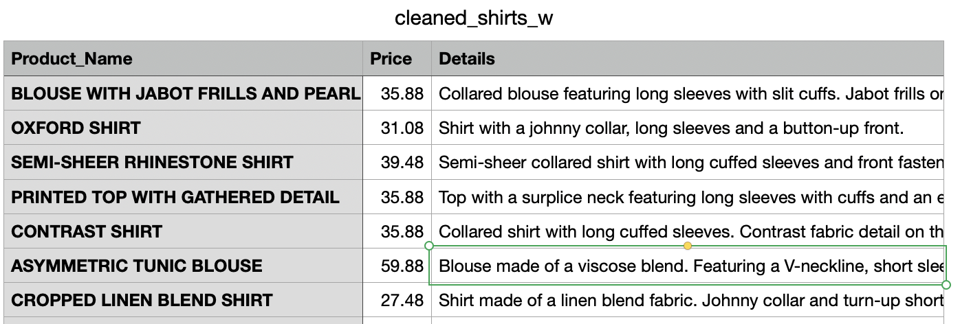 Cleaned Shirts Data